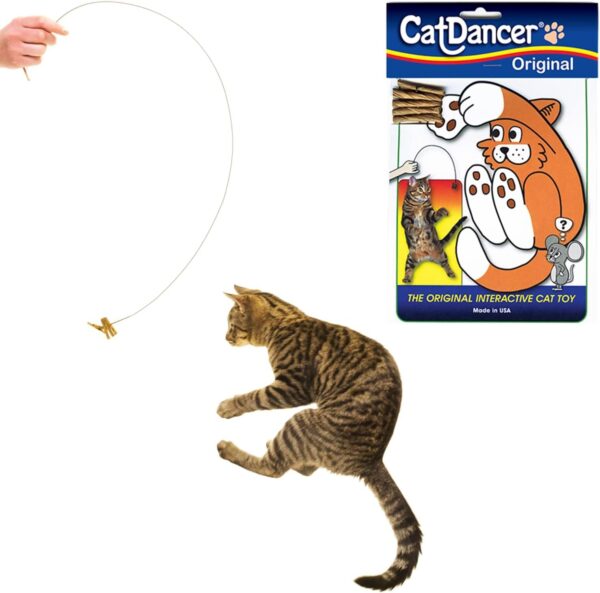 101 Interactive Cat Toy, Brown