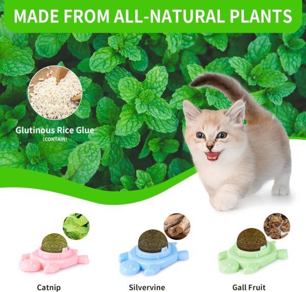 Catnip Ball ‖ Catnip Balls for Cats Wall: silvervine for Cats, 3-Piece Silvervine Catnip Cat Toys for Indoor Cats, Edible Cat nips Organic Ball, Cute Silvervine Cat Toy - Image 3