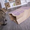 2 Count Catnip Caves Catnip Infused Bag Cat Toys - Brown, 2 Count - Image 3